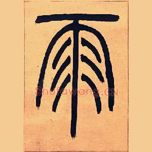 雨