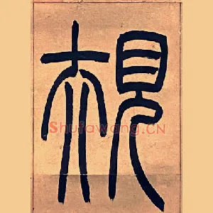 規