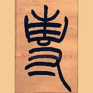 專