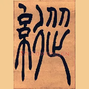 縱