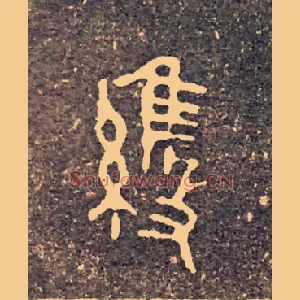 維
