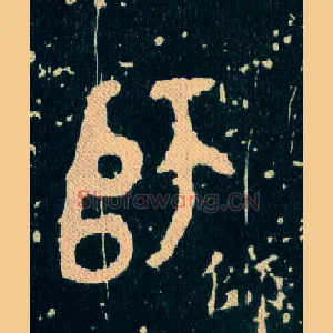 師