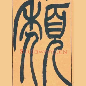 頺