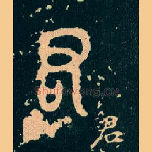 君