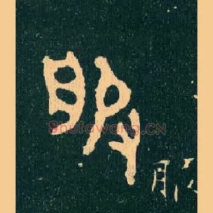 服