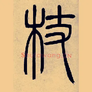 杖