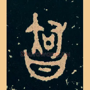 智