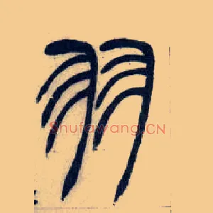 羽