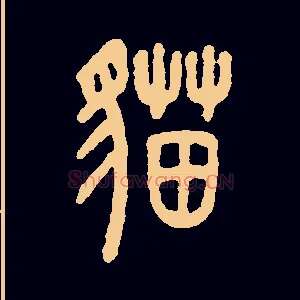 猫