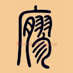 寥