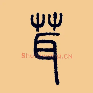 茸