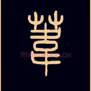 葦