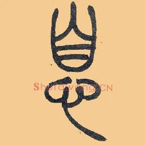 息