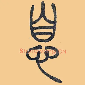 息