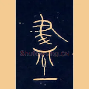 盡