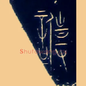 专