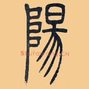 陽