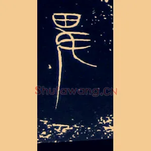 卑俾