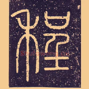 程