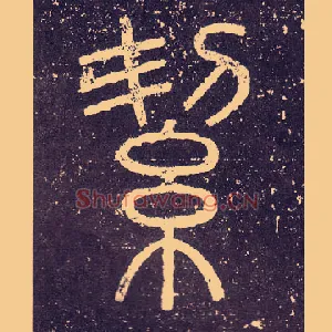 絜