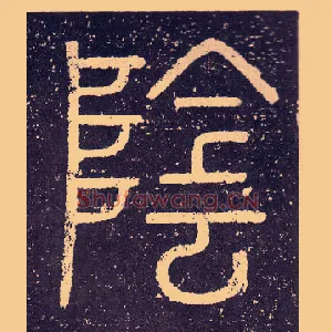 陰