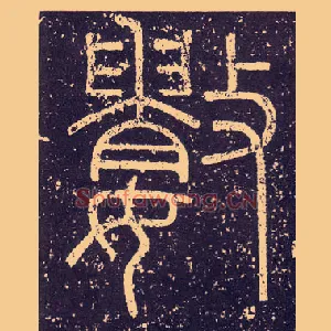 數