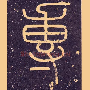 專