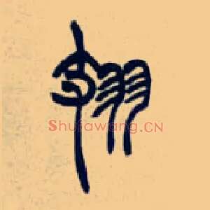 翅