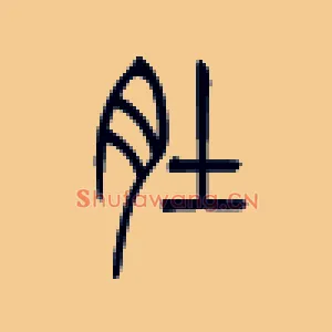 肚
