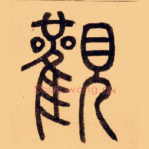 观