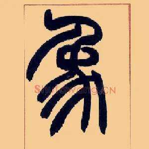 象