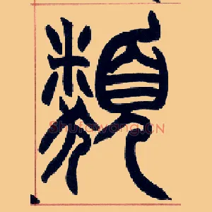 类