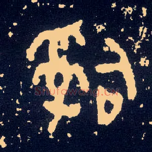 司