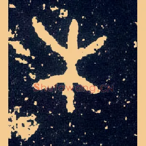 木