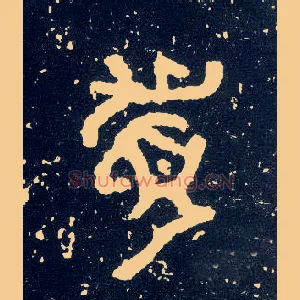 眉