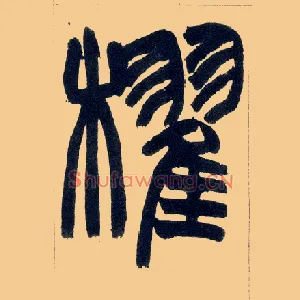 棹