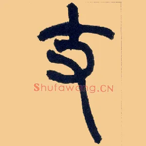 支