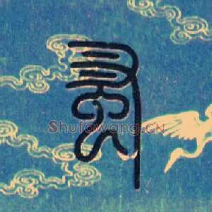 蚤