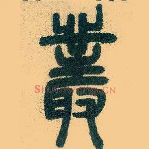 丛