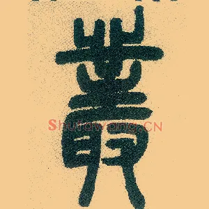 丛