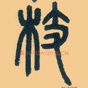 枝