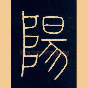 陽