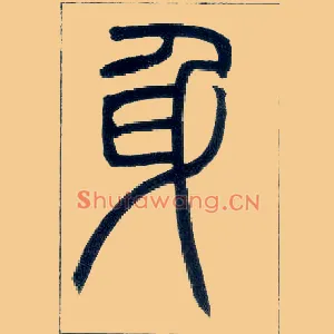 身