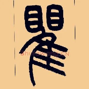 瞿
