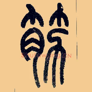 筋