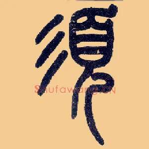 须