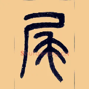 尾