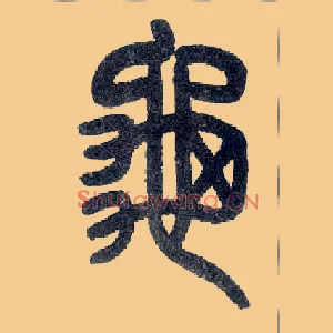 龟