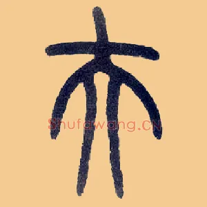 夫