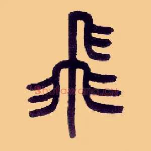 飛